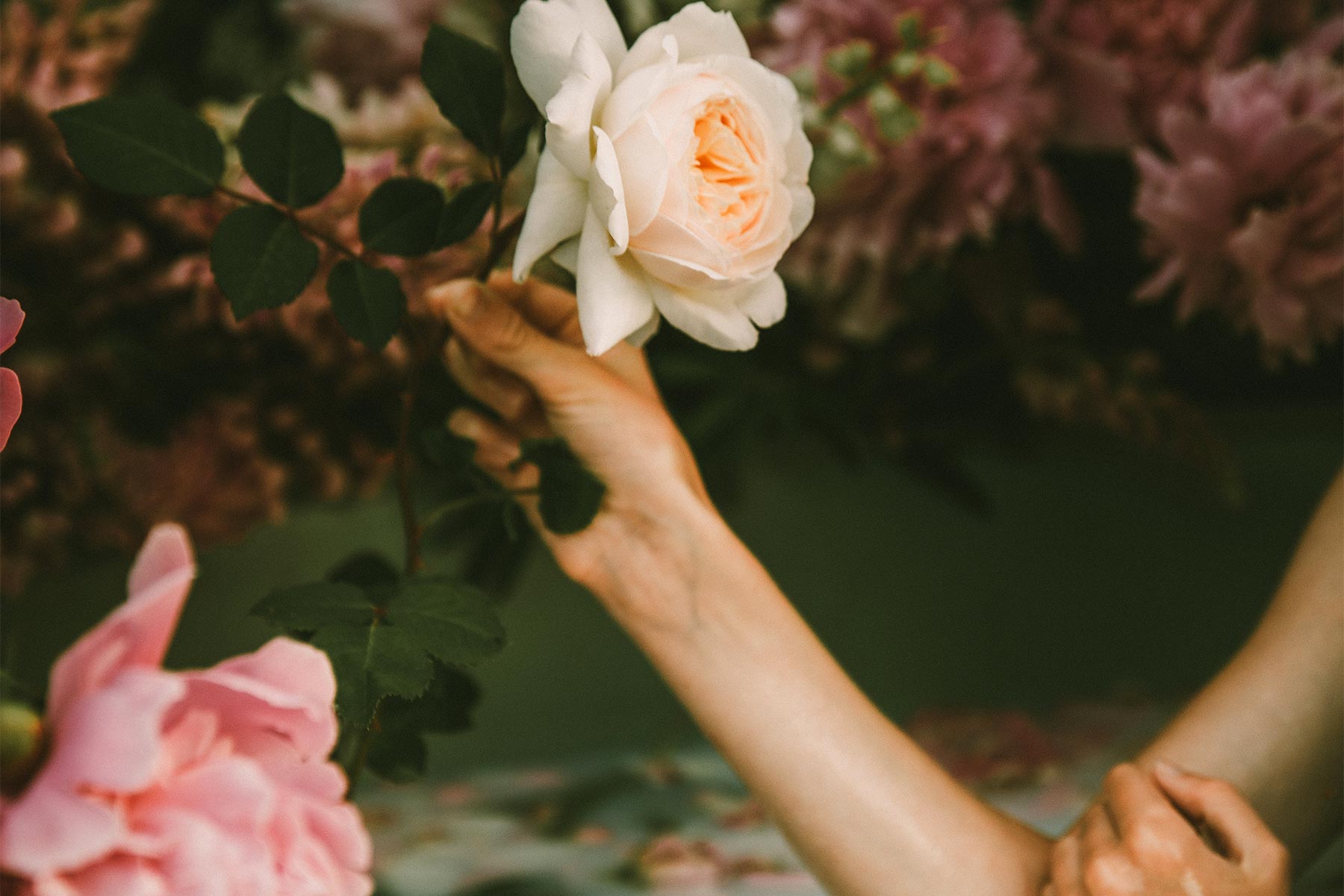 agali houses santorini greece 4